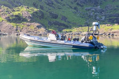 2020 Ribcraft 9.5m professional