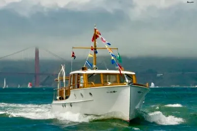 Stephens Brothers Bridgedeck Cruiser