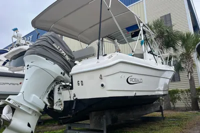Robalo 2440 Walkaround