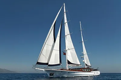 Custom 2010