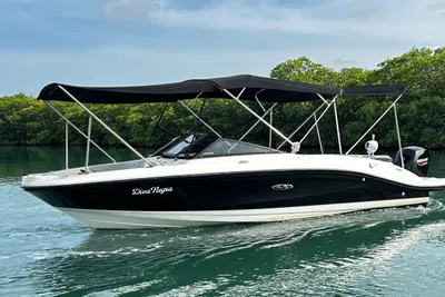 Sea Ray SPX 210 Outboard