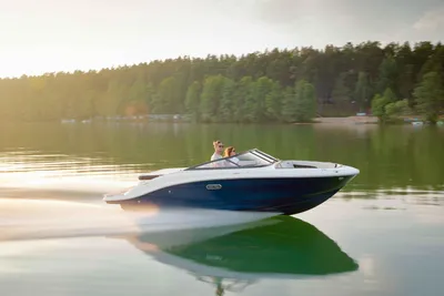 Sea Ray SPX 190