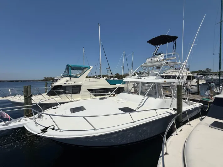 Full Contact Yacht Photos Pics 