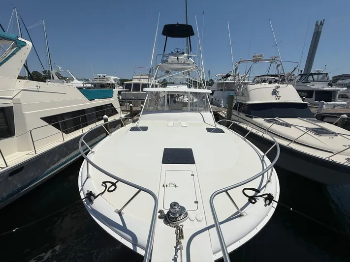 Full Contact Yacht Photos Pics 