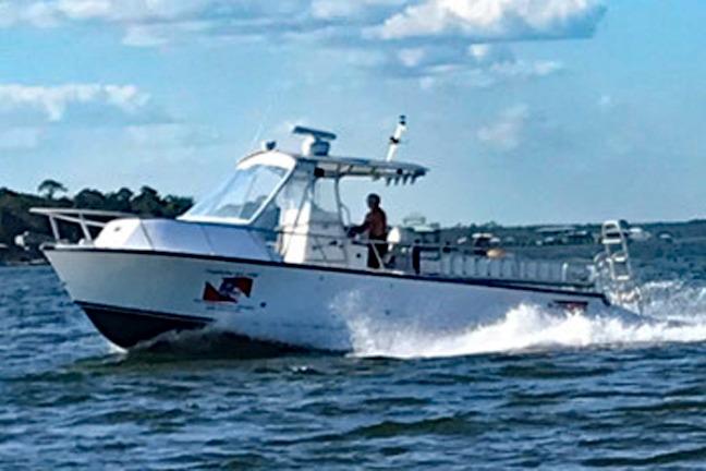 Newton 31 Dive Special