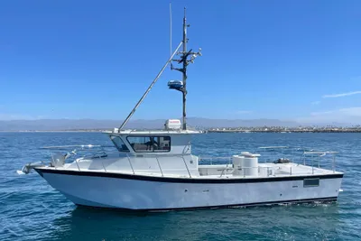 Custom NUWAVE 36
