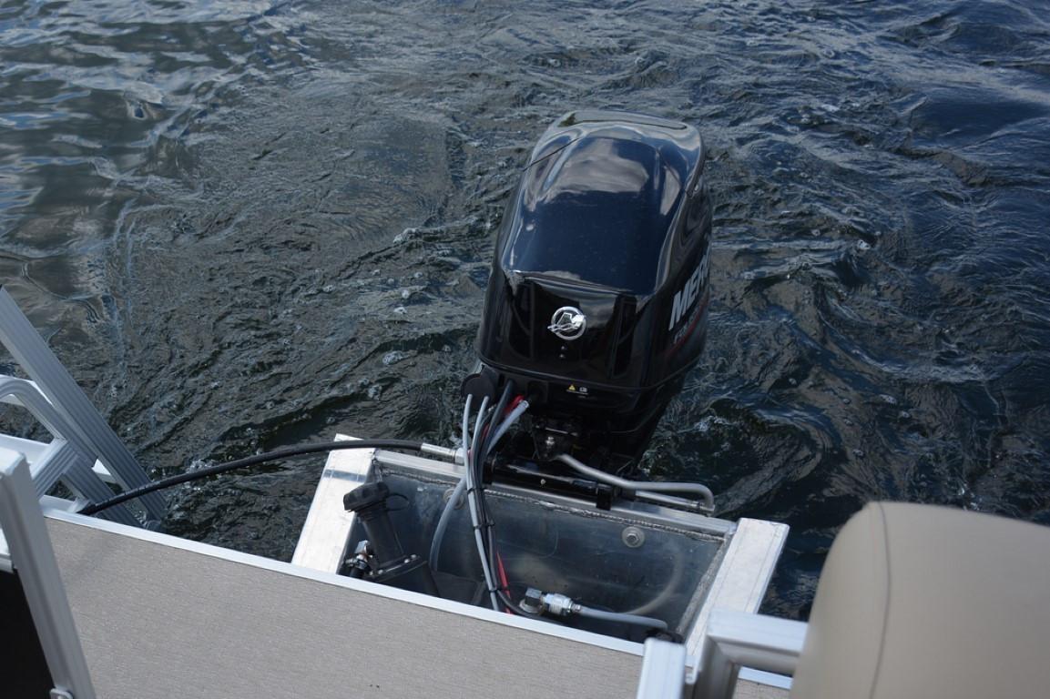 2025 Starcraft LX 16 Pontoon for sale YachtWorld