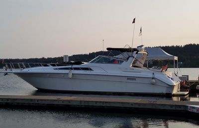 Sea Ray Express Cruiser