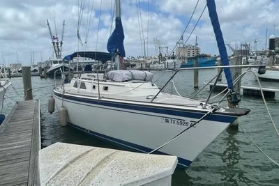 O'Day 31