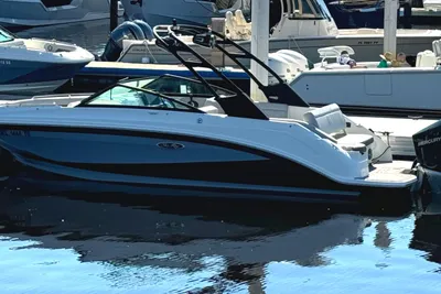 Sea Ray SDX 250 Outboard