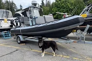 Hurricane H640