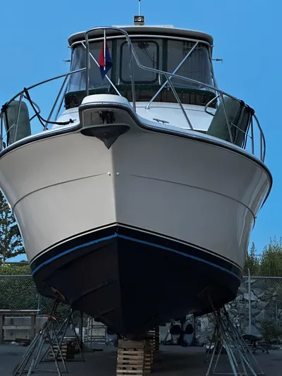 Jump For Joy Yacht Photos Pics 