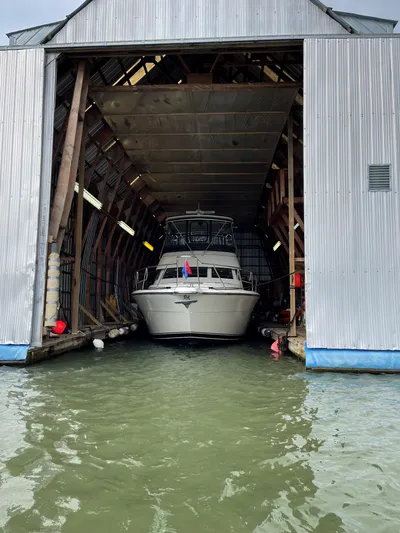 Jump For Joy Yacht Photos Pics 
