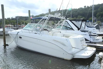 Sea Ray 290 Amberjack