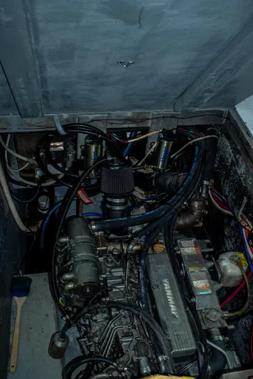 Fat Cat Yacht Photos Pics 