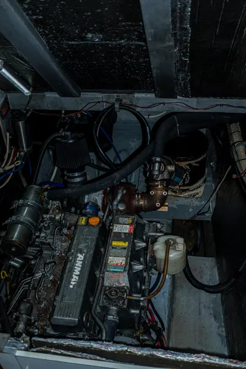 Fat Cat Yacht Photos Pics 