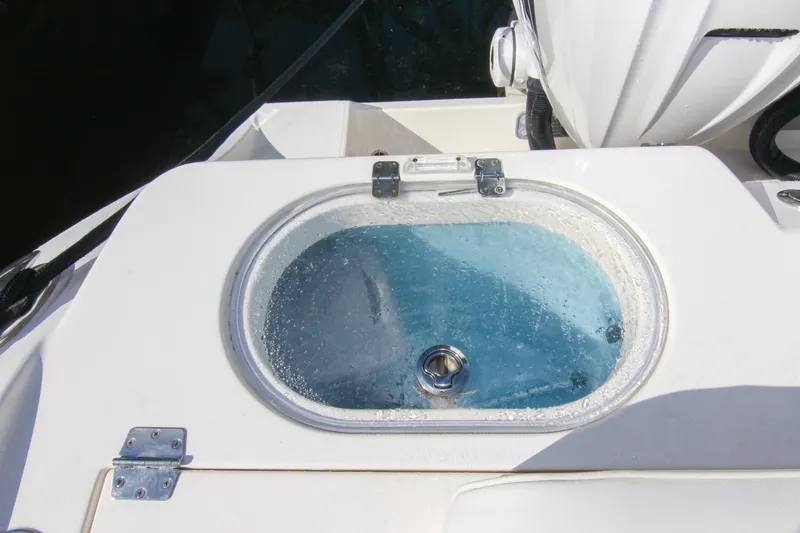  Yacht Photos Pics Livewell on 2022 Cobia 350 Center Console boat, filled with water.