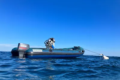 2017 Astec Vigilant & Diving DV PRO