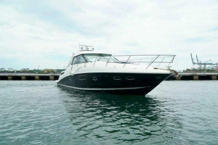 2010 Sea Ray 45'