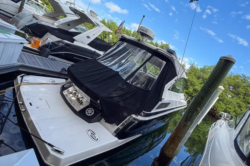 Sophia Yacht Photos Pics 2015 Regal 38 Express yacht docked, featuring sleek design and black cover.