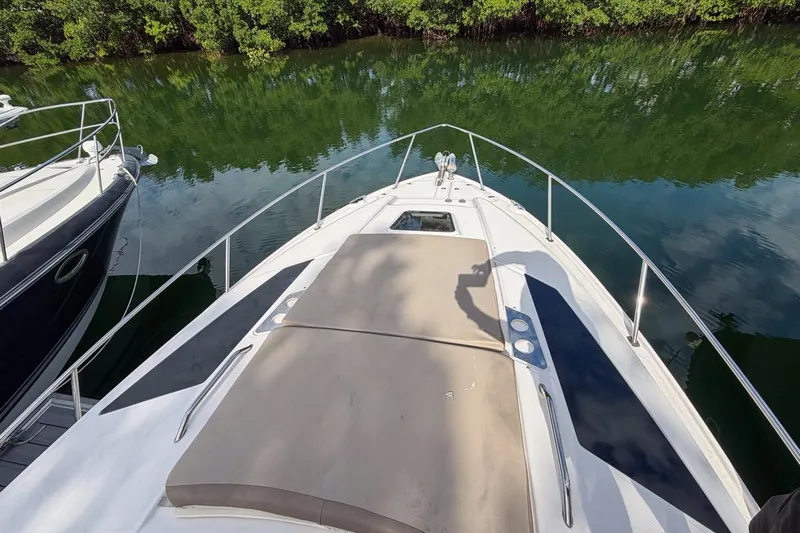 Sophia Yacht Photos Pics 2015 Regal 38 Express yacht bow view, docked near lush greenery.