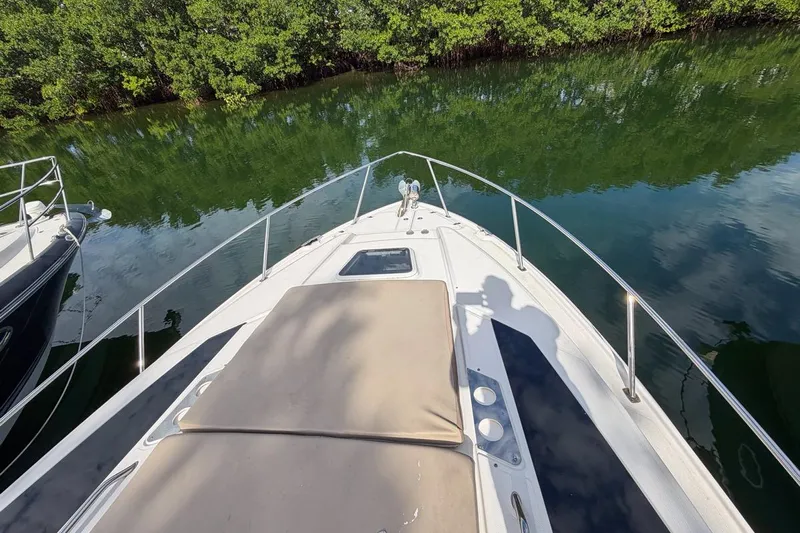Sophia Yacht Photos Pics 2015 Regal 38 Express boat deck with lush greenery reflection in calm water.