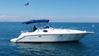 Rinker 300 Fiesta Vee