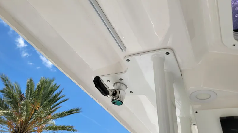  Yacht Photos Pics 2024 Sea Fox 288 Commander boat detail with palm tree and blue sky background.