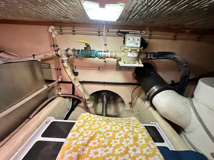 Ms. Moneypenny Yacht Photos Pics 