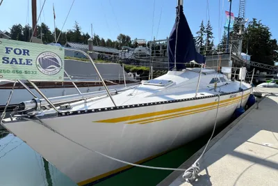 Custom Hotfoot 31