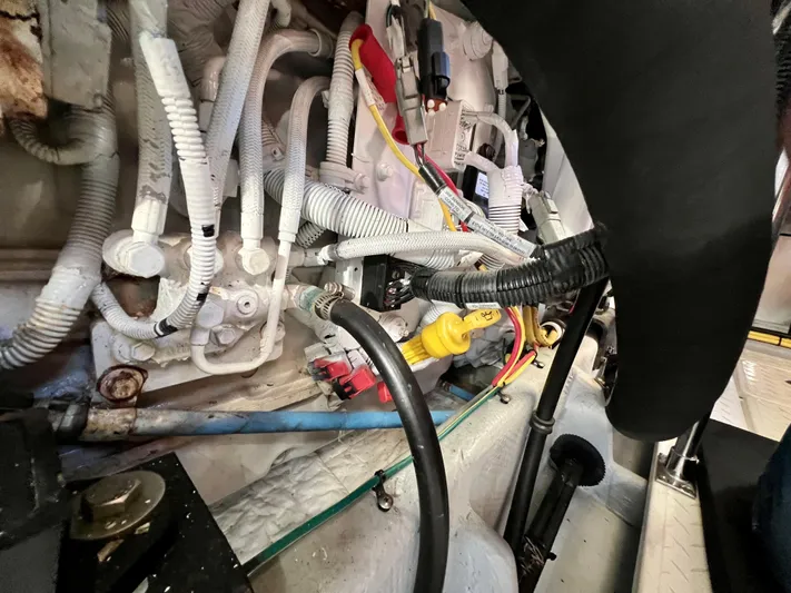 Mamba Mentality Yacht Photos Pics 