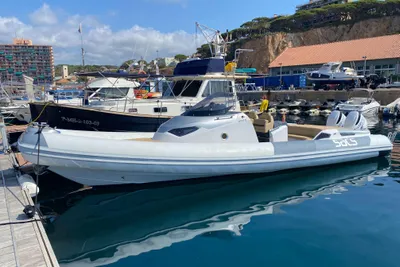 2010 SACS Strider 11