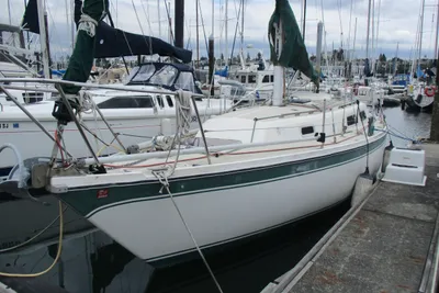CAL 31