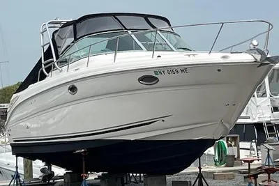 Sea Ray 290 Amberjack