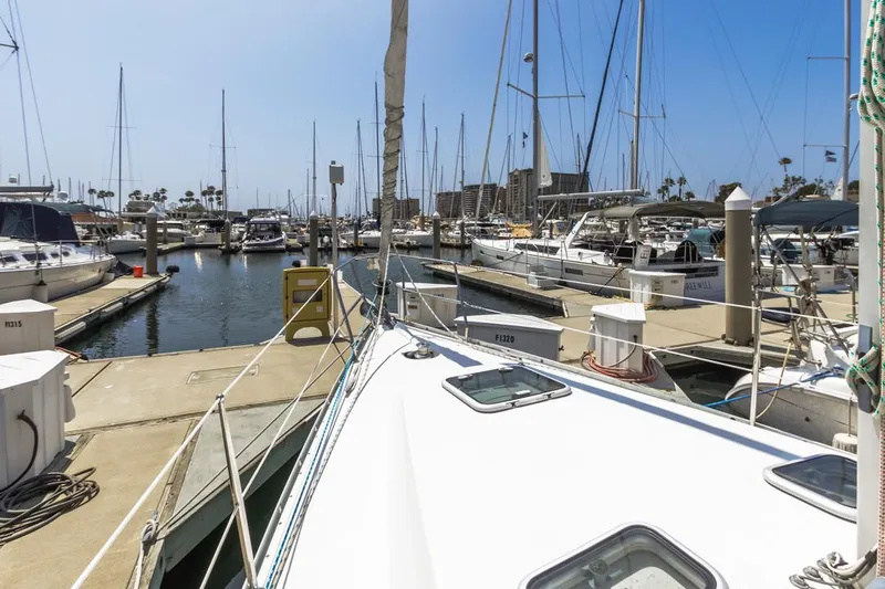 Lucky Socks Yacht Photos Pics 