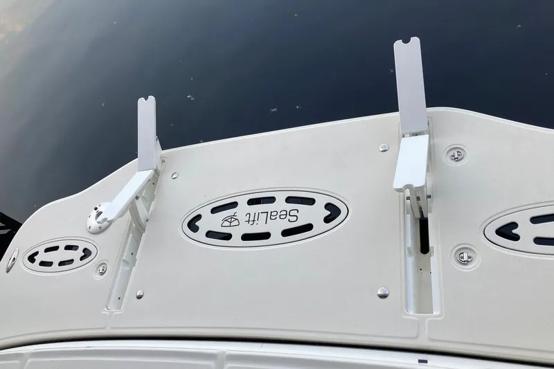 Co-motion Yacht Photos Pics 2008 Sea Ray 44 Sundancer swim platform with SeaLift system, on calm water.