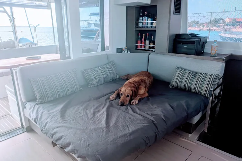 Momentum 42 Yacht Photos Pics Dog relaxing on a Leopard 42 yacht's cozy interior sofa, 2023 model.