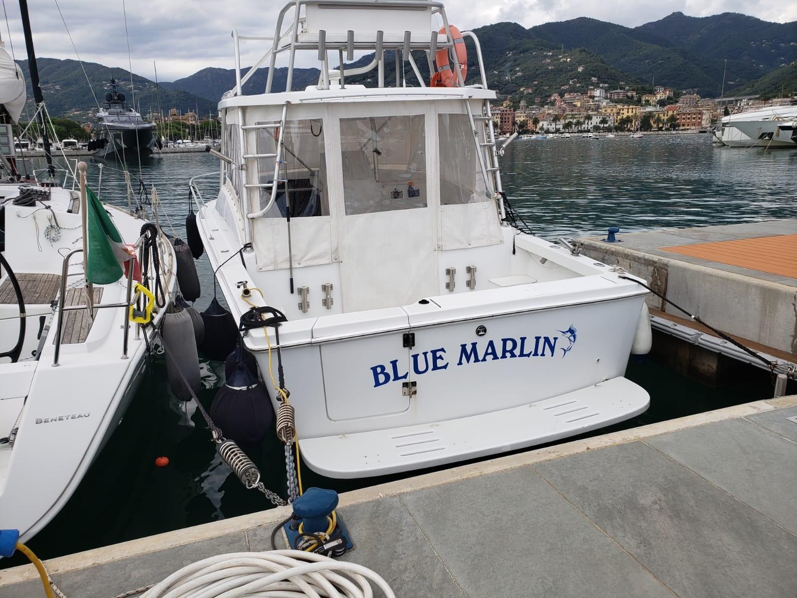 1993 Luhrs Tournament 290 Open