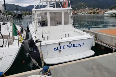 1993 Luhrs Tournament 290 Open