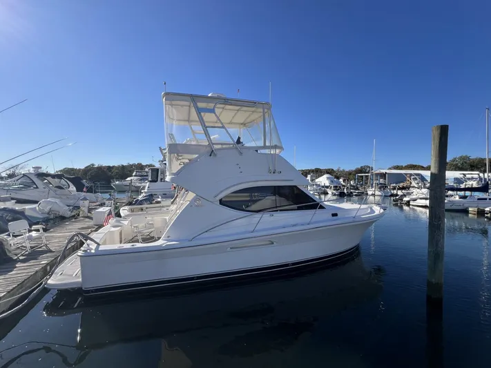 Well Adjusted Yacht Photos Pics 
