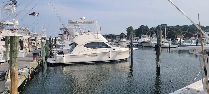 Well Adjusted Yacht Photos Pics 