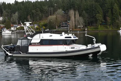 SAFE Boats 33