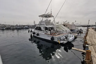 1994 Blackfin 38 Convertible