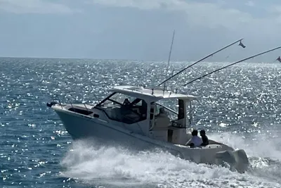 Boston Whaler 325 Conquest