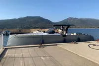 PARDO 43