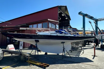 Dragon 29