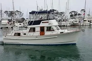 Monk 36
