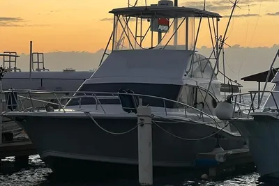 Luhrs 380 Tournament
