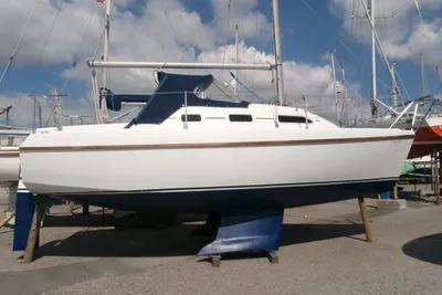 2005 British Hunter Channel 245