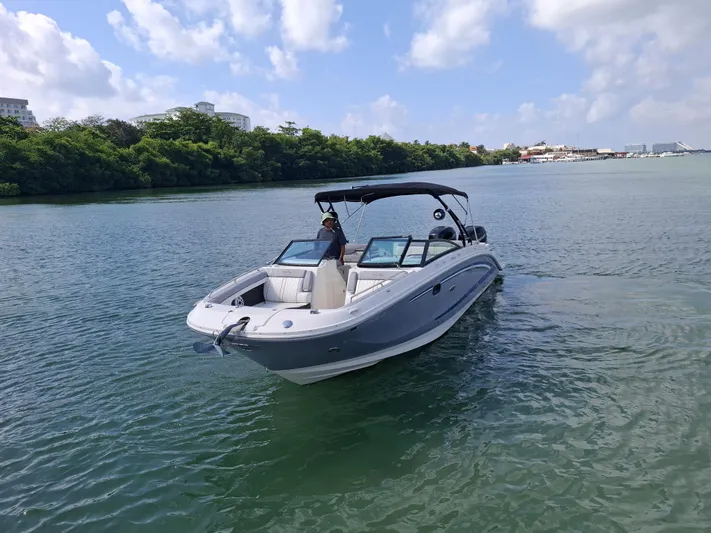 2016 Sea Ray 290 Sundeck Ob @ Cancun Yacht Photos Pics 